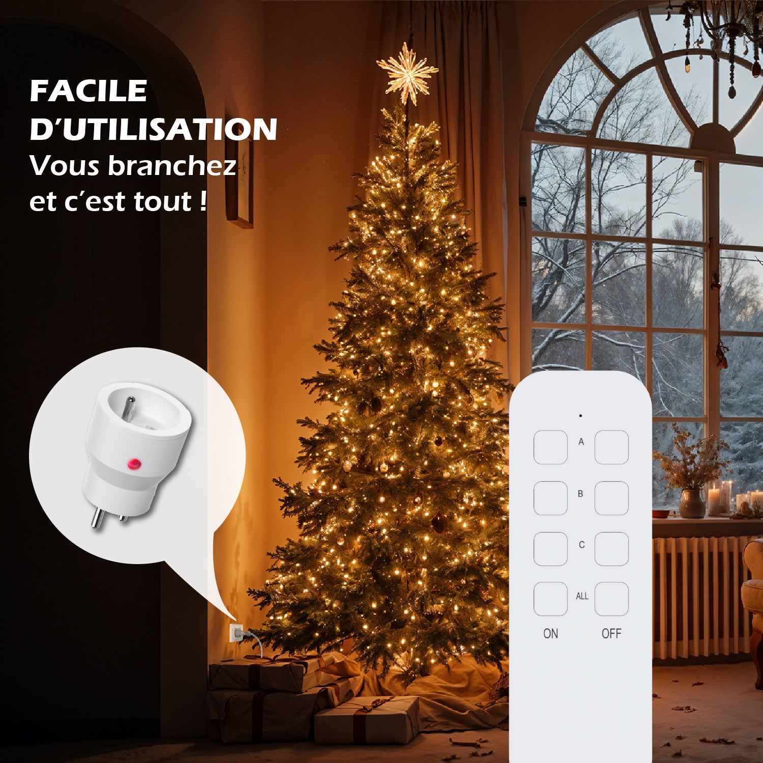 Lot de prise 2300W télécommandée intérieure - 10