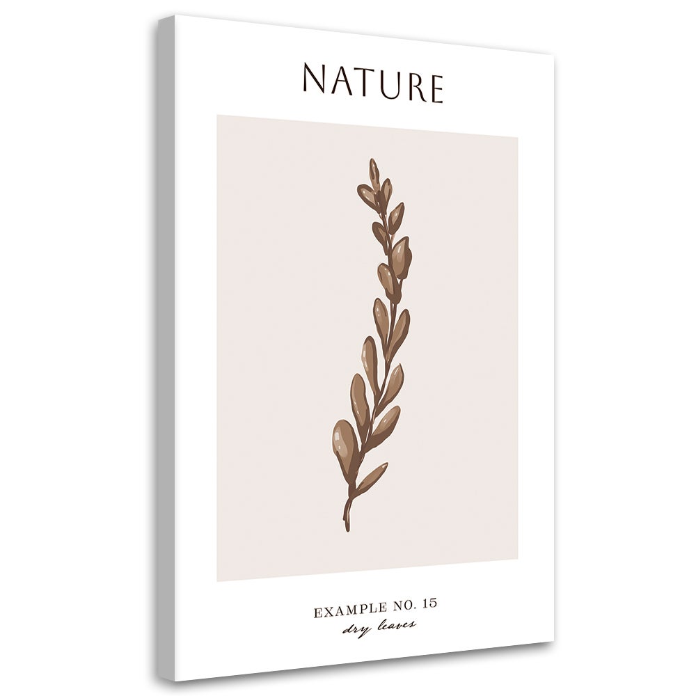 Obraz na płótnie, Suche liście - Natura 80x120