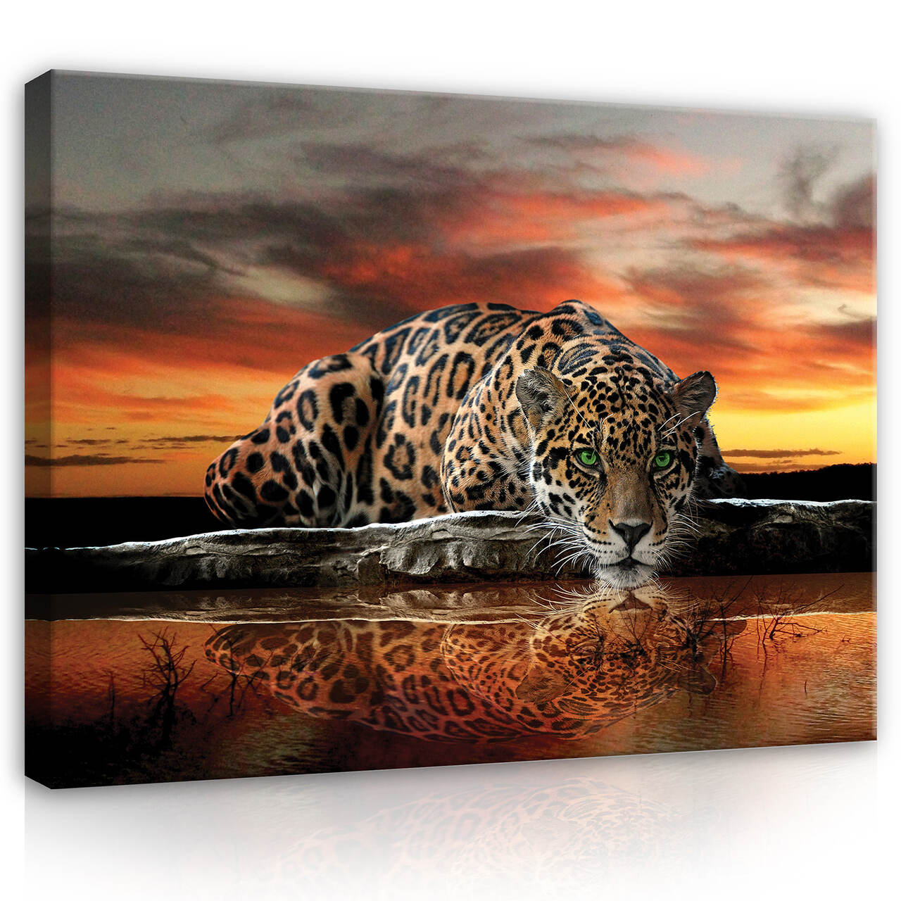 Tablou Canvas Lampard ghepard animal natura Tablou decorativ Living Bucatarie Tablouri de perete 80x60 cm