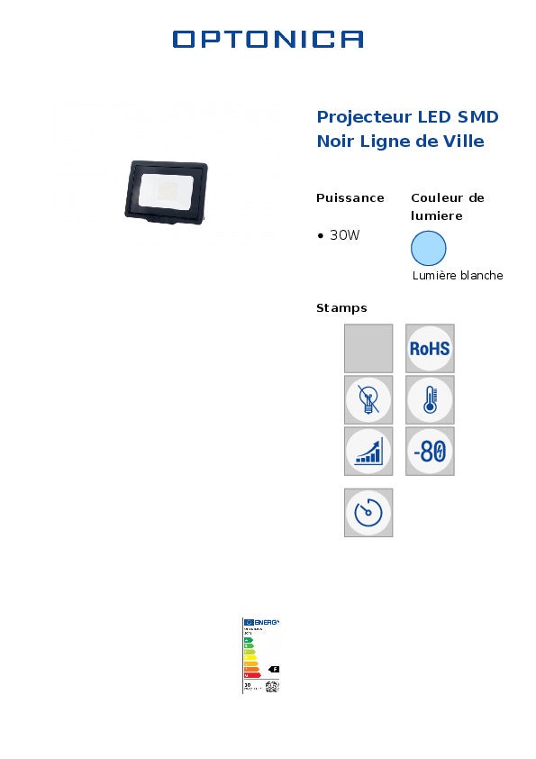Projecteur LED Noir 30W (200W) Étanche IP65 2400lm - Blanc du Jour 6000K - 6