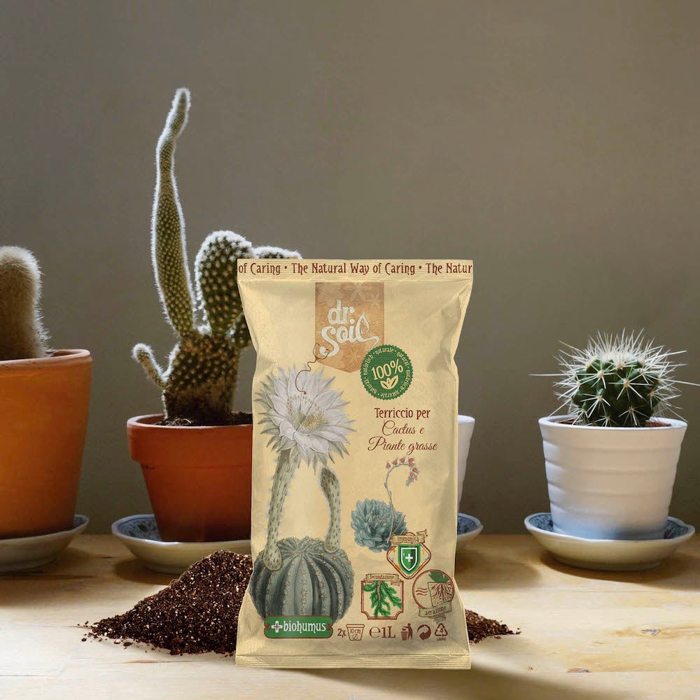 Dr. Soil Terreau pour Cactus et Suculentas 1l - 3
