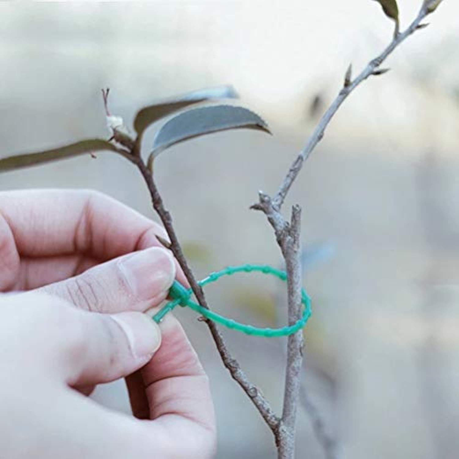 Attaches torsadées réglables pour plantes de jardin, 150 pièces, attaches en plastique flexibles, attaches de vigne (vert) - 3