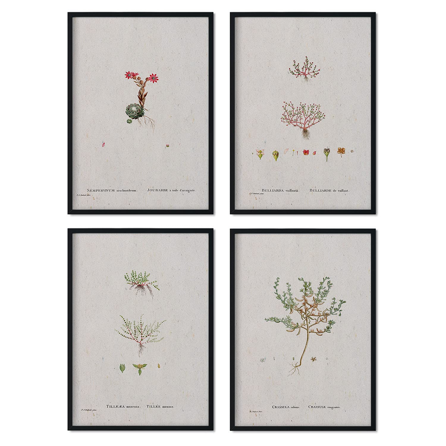 Lame De Vache Pour Enfants Avec Des Verres D'affiches Pour Enfants A4 Sans Cadre 87649461