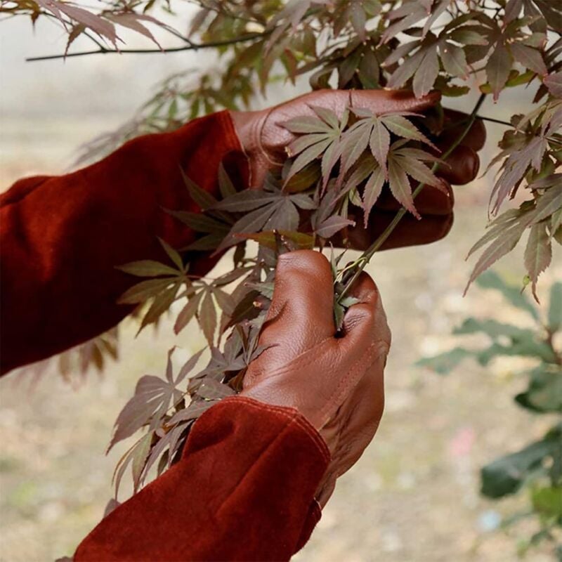 AIDUCHO Gants RONCIER - Paire de Gants de Jardinage - Protection Cuir - Gants de Jardinage pour les Épines et Ronces et Gants de Travail--Marron--M - 4