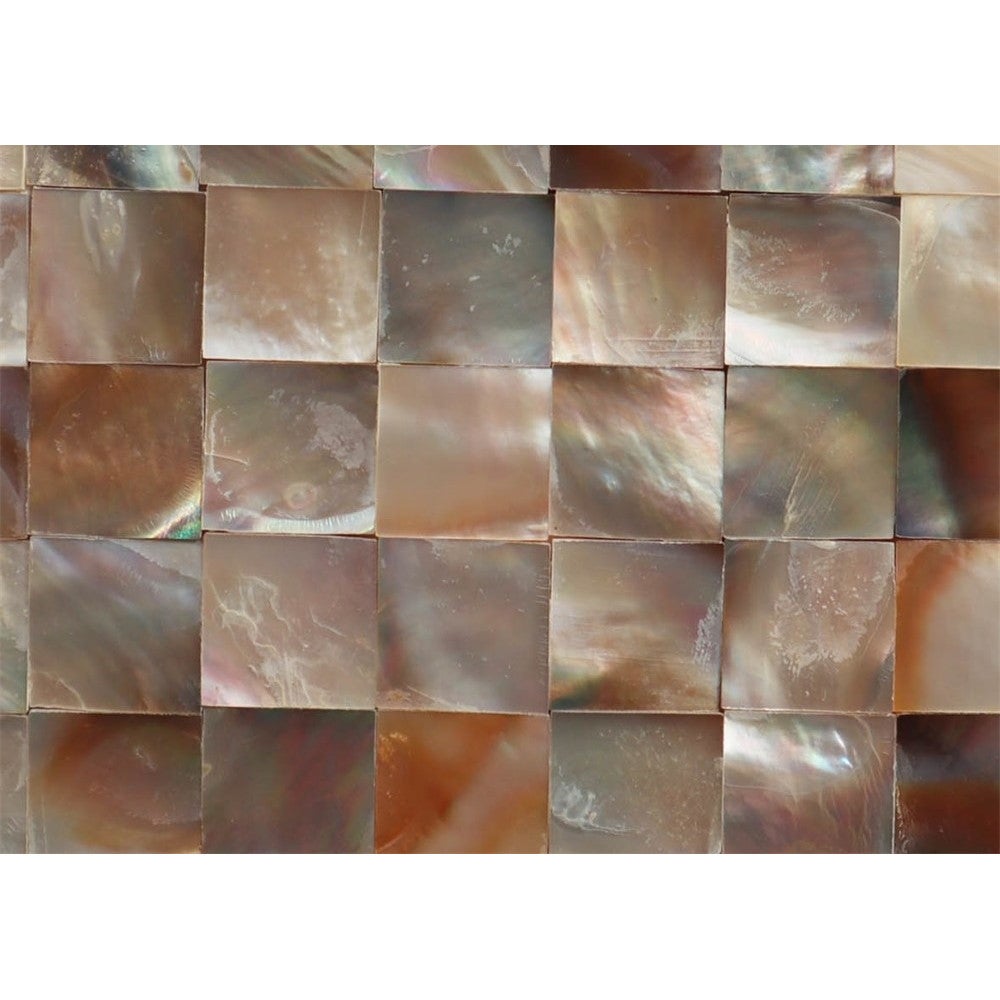 Mosaïque décorative adhésive nacre naturelle nuancée - 3