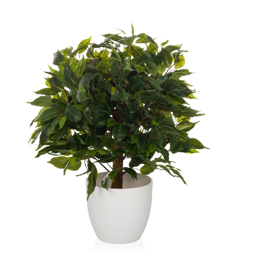 Foglia artificiale di aralia SALVATORE, verde, 70cm
