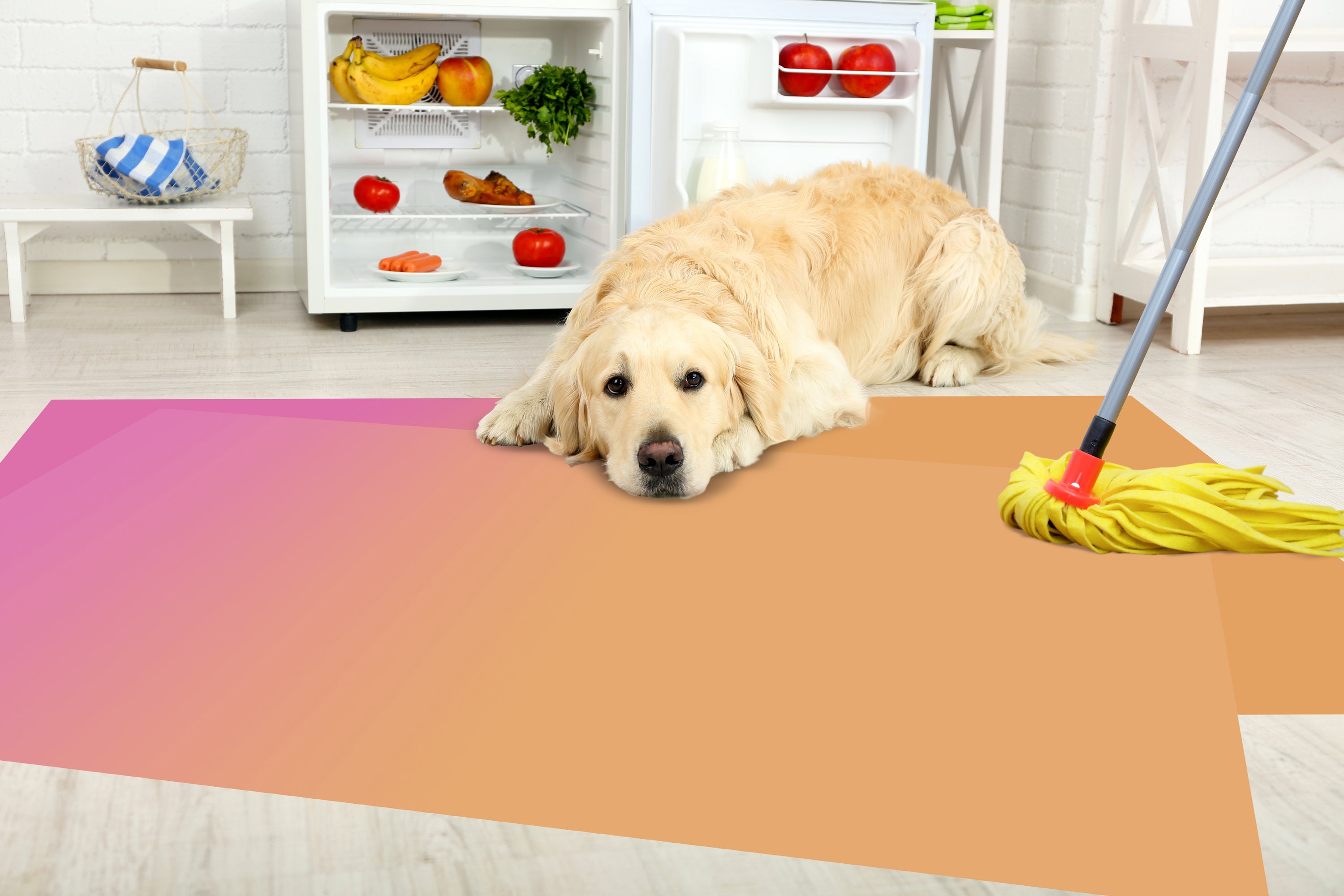 Alfombras Infantiles Lavables Alfombra Infantil Giallobus