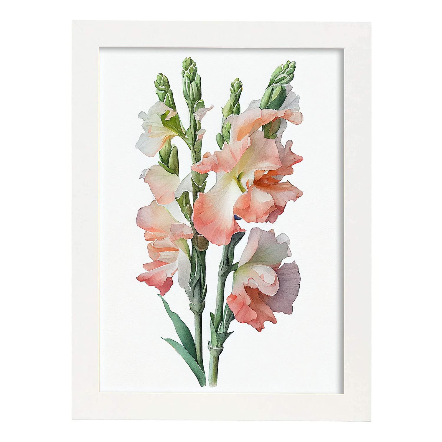 Nacnic poster de gladiolo estilo nórdico ilustraciones de botánica con flores y plantas en acuarela diseño moderno y modelo 2 a3 con marco blancos