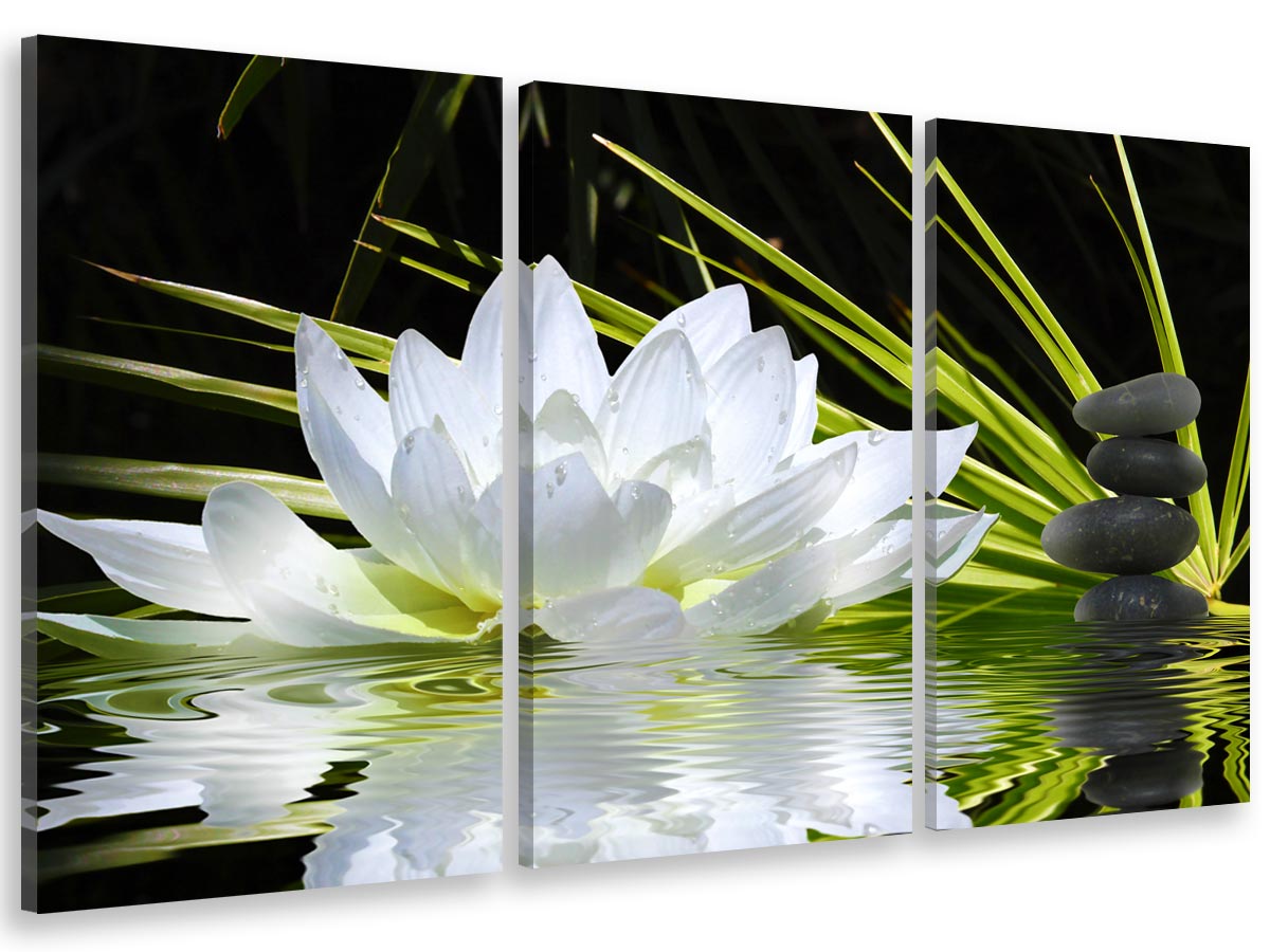 Cuadro tríptico ambiente zen y flor de loto - 90x60 cm