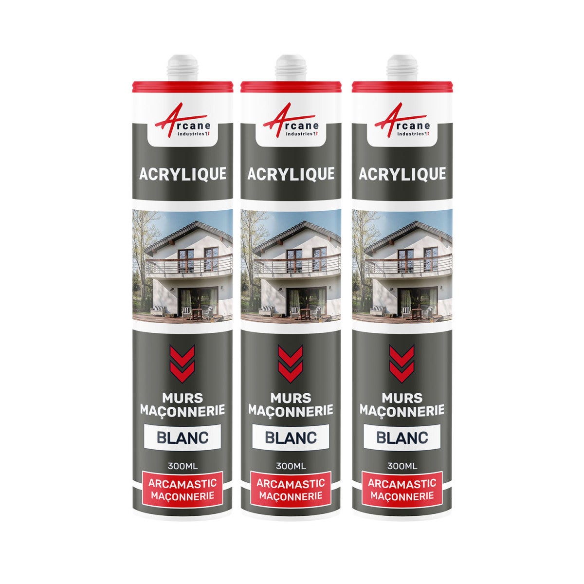 Mastic Acrylique pour joints et réparations des supports maçonnés — free download