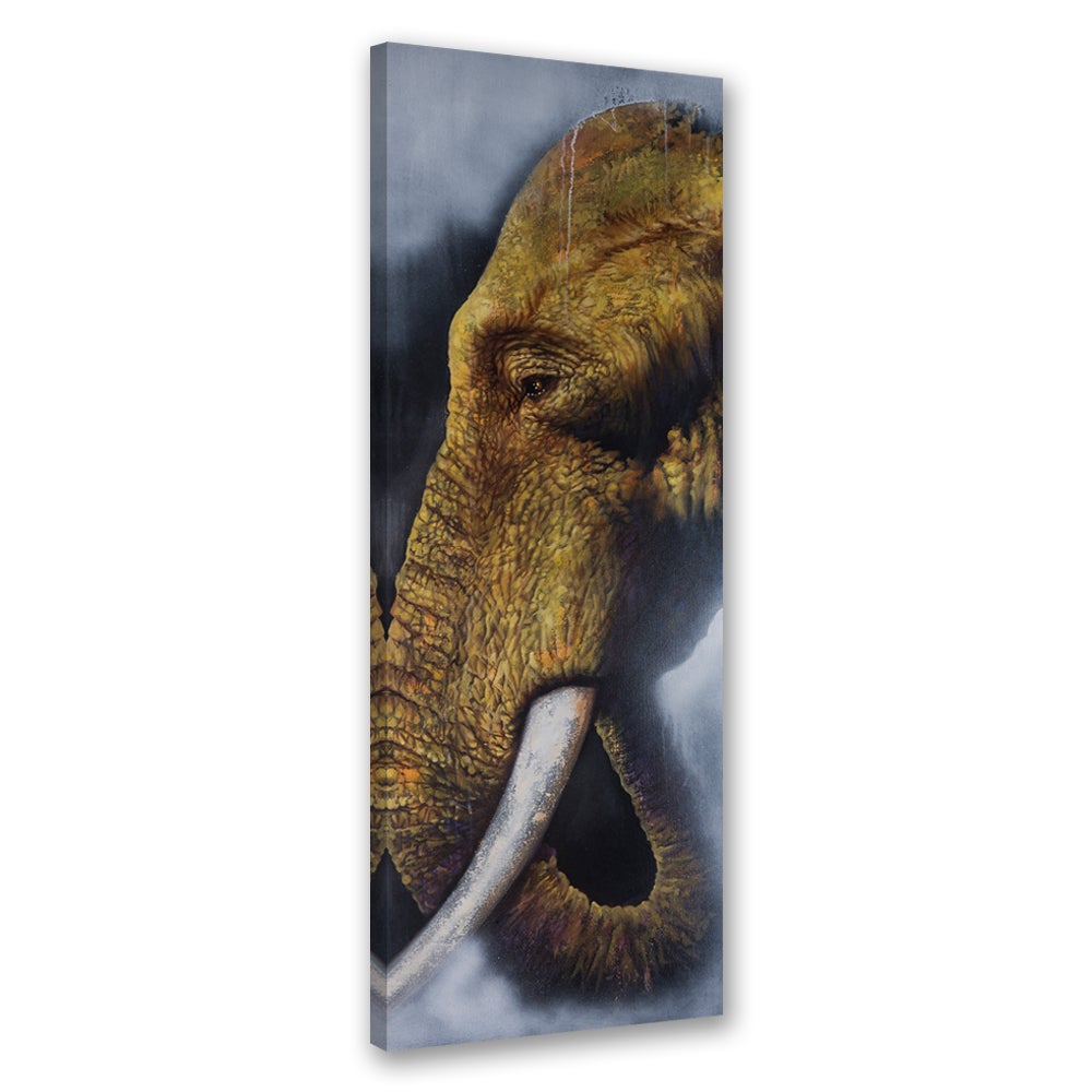 Obraz na płótnie, Samotny Słoń 50x150