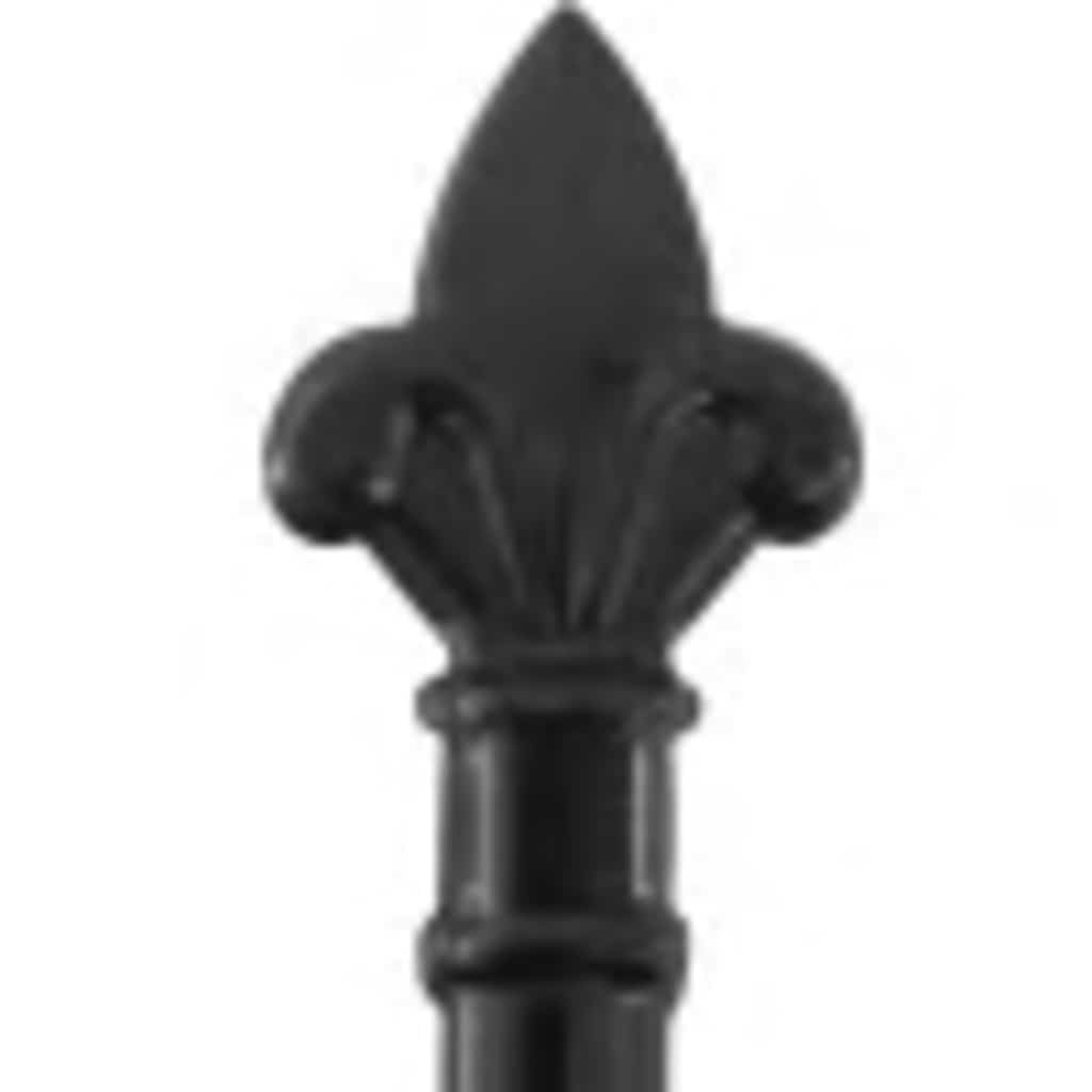 Portail double Woerden avec pointe en forme de lance 299,5 x 149,5 cm vidaXL - 4