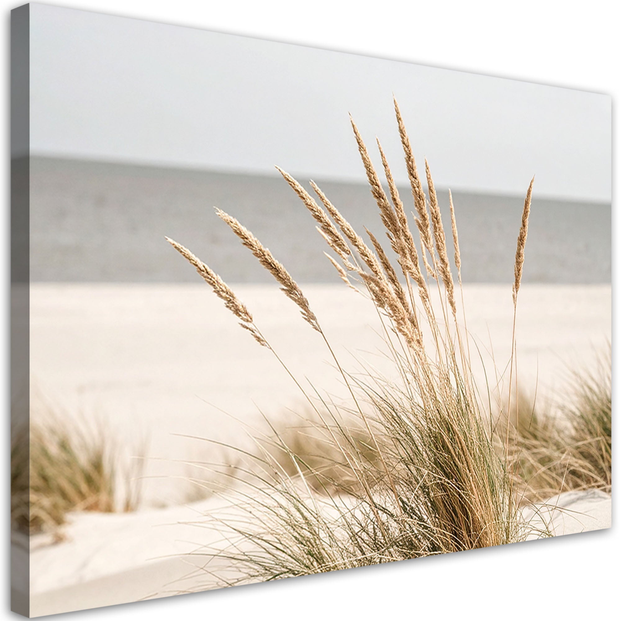 Obraz do salonu kuchni biura, Plaża morze rośliny natura beżowy 60x40