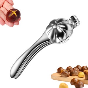 Ouvre Châtaignes Coupe Châtaignes Pince à Châtaignes En Acier