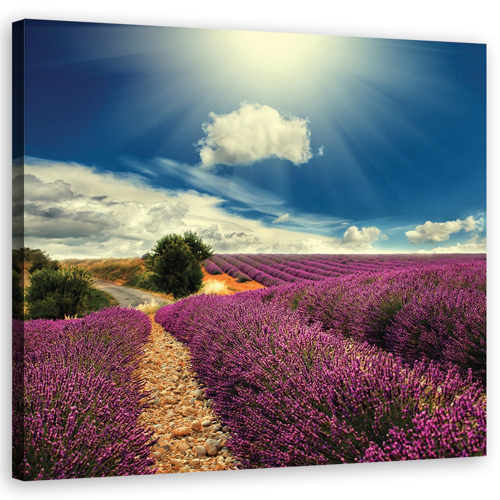 TABLEAU PEINTURE HUILE SUR TOILE PAYSAGE PROVENCE CHAMP LAVANDE ,SIGNEE