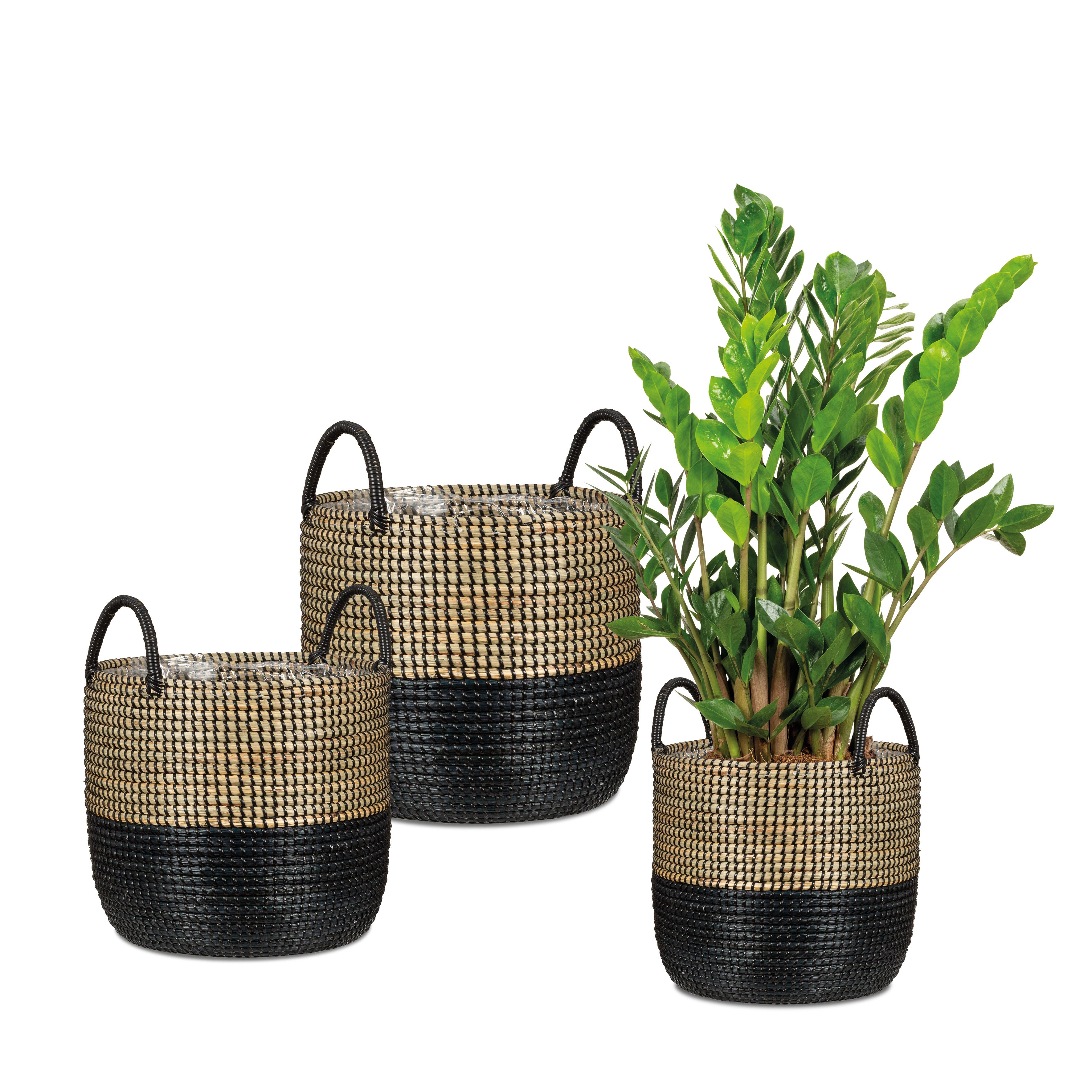 Scheurich Seagrass 34, Pot de fleurs en jonc de mer, couleur: Nature Black, 34 cm de diamètre, 30.5 cm de hauteur, 26.9 l vol. - 5