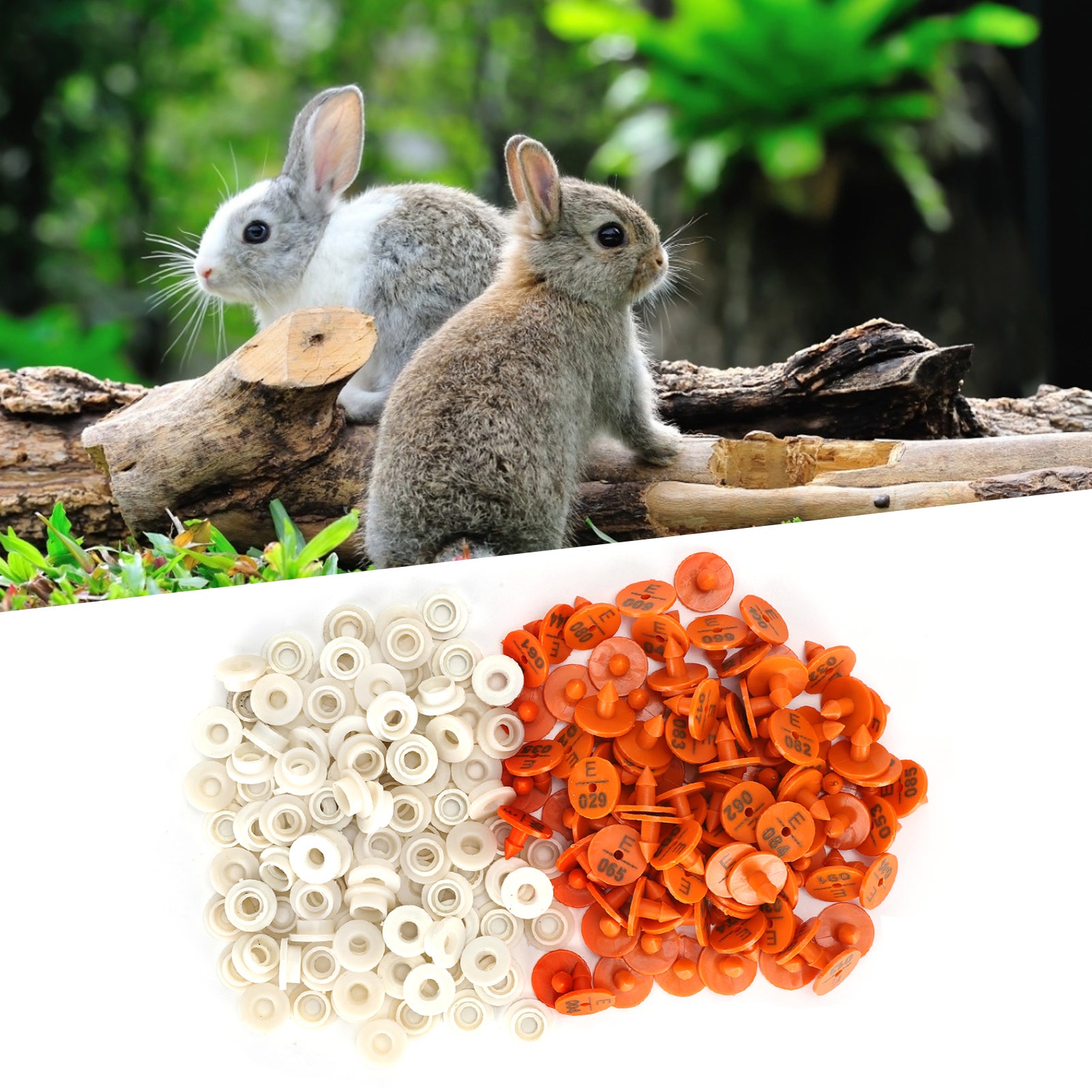 100 set di etichette numerate per conigli, marcatori di identificazione degli animali, etichette per fattorie - 7