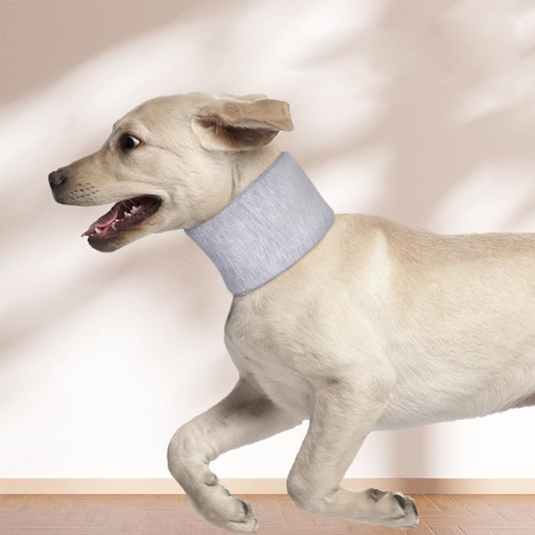 Collares para perros, collares para perros y gatos, collares protectores para el cuello, collares antiarañazos y antilamidos. - 6