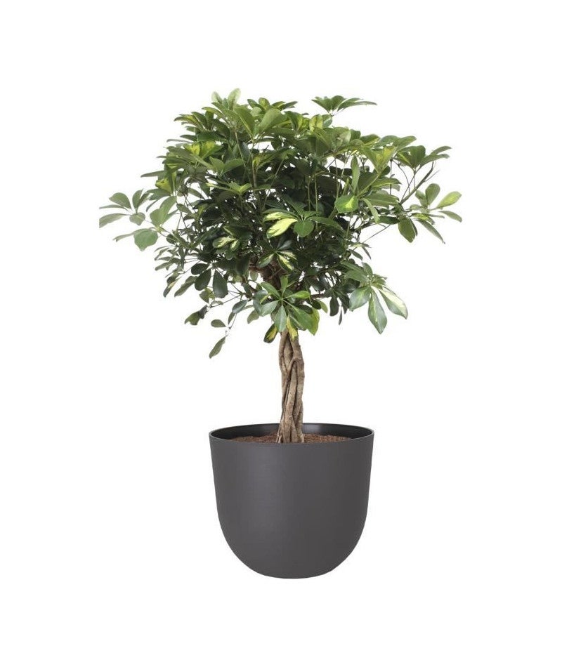 ARTEVASI - Pot havana natural 30cm vulcain 30 x 30 x h24,9 cm - 0,91l - 2