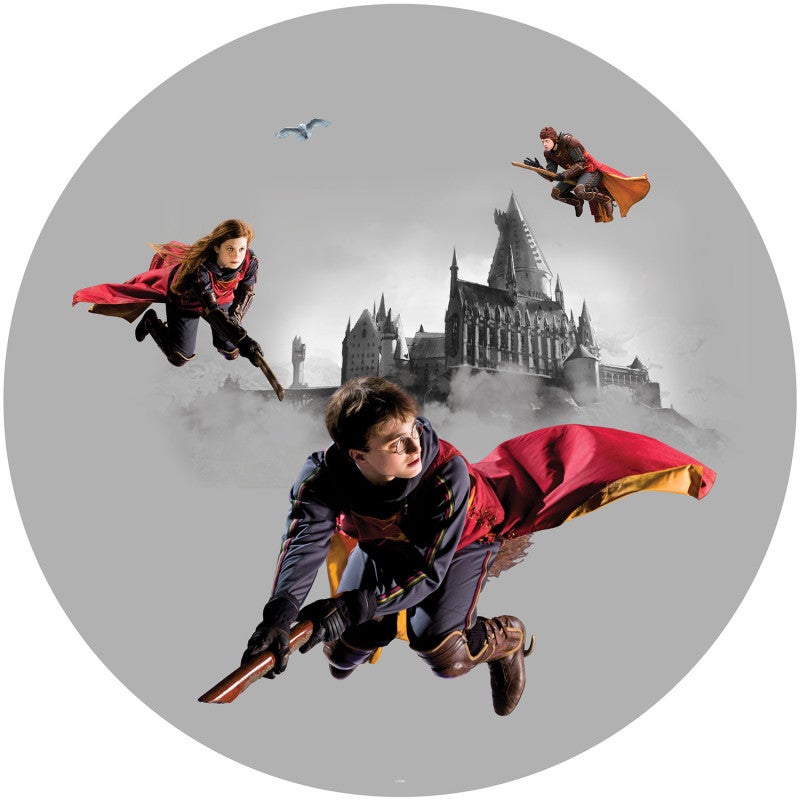 Photo murale ronde Harry Potter sur son balais 70 x 70 cm Leroy Merlin