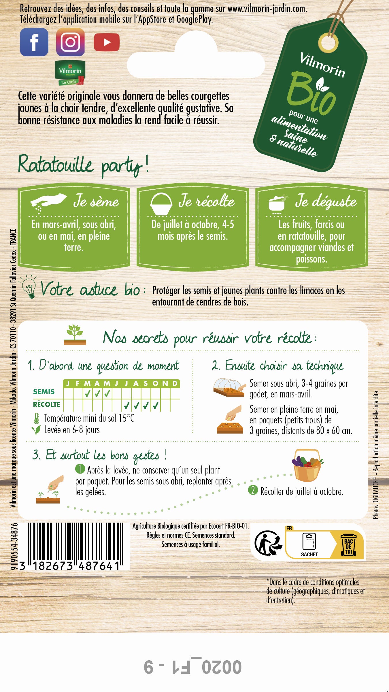 Courgette Jaune Gold Rush HF1 - BIO - 2