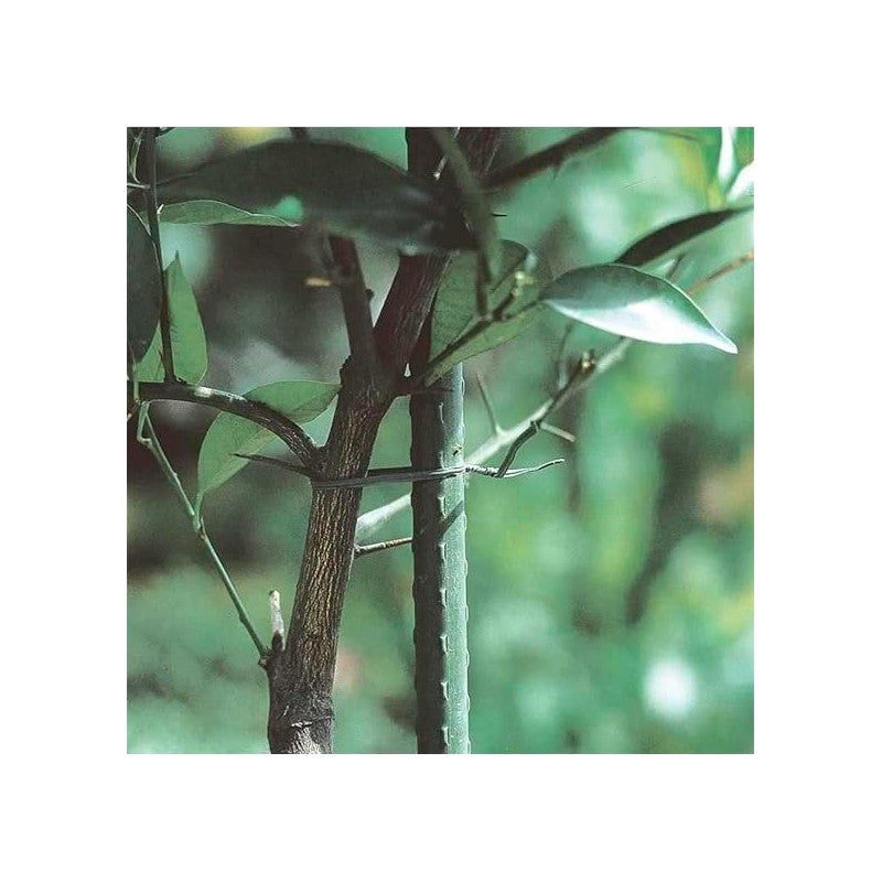 Pack 25 Tutor de Acero Plastificado 180cm Ø16 mm | Varillas para Plantas y Arboles | Tutores para Tomates y Plantas trepadoras - 5