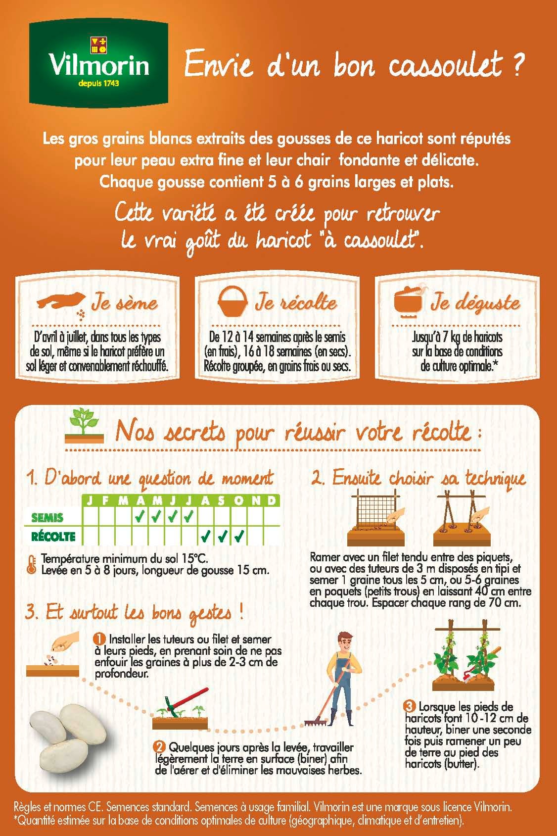 Haricot Grimpant à Ecosser Maïs (type Tarbais) - 10 m - 2