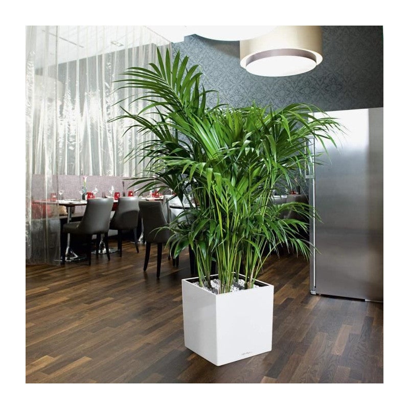 Pot de fleur LECHUZA Cube Premium 40 - kit complet, blanc brillant - 3