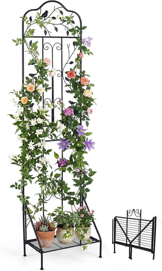 Metalowa Kratka Ogrodowa do Roślin Pnących, Ozdobne Ogrodzenie Zewnętrzne z Rozkładanym Regałem Dolnym (Czarny Ptak | 50 x 190 cm, 1)