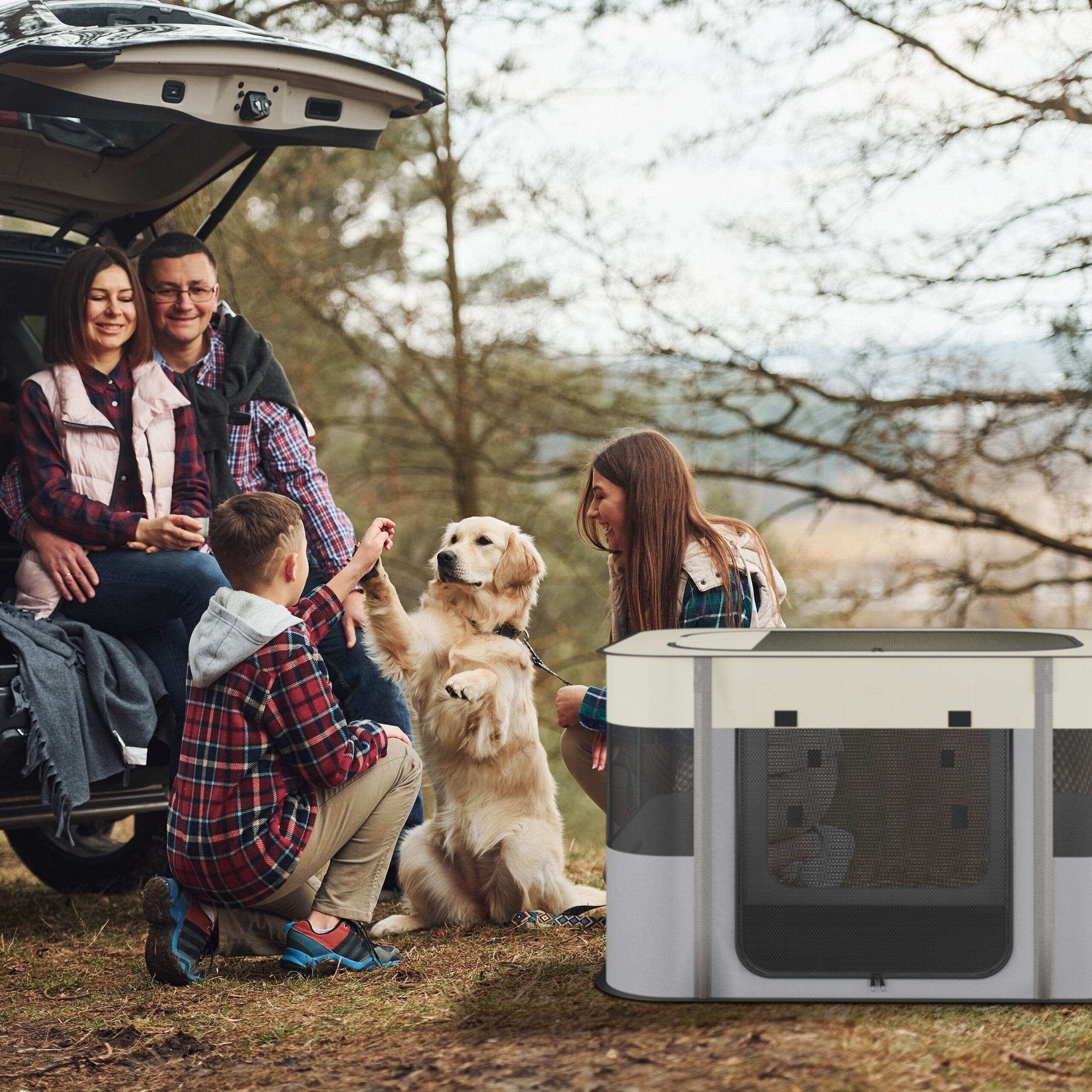 Parque Perros Plegable, 43 x 71 x 55 cm, Corral Cachorros Interior y Exterior, Tejido Oxford, Multicolor, Relaxdays - 2