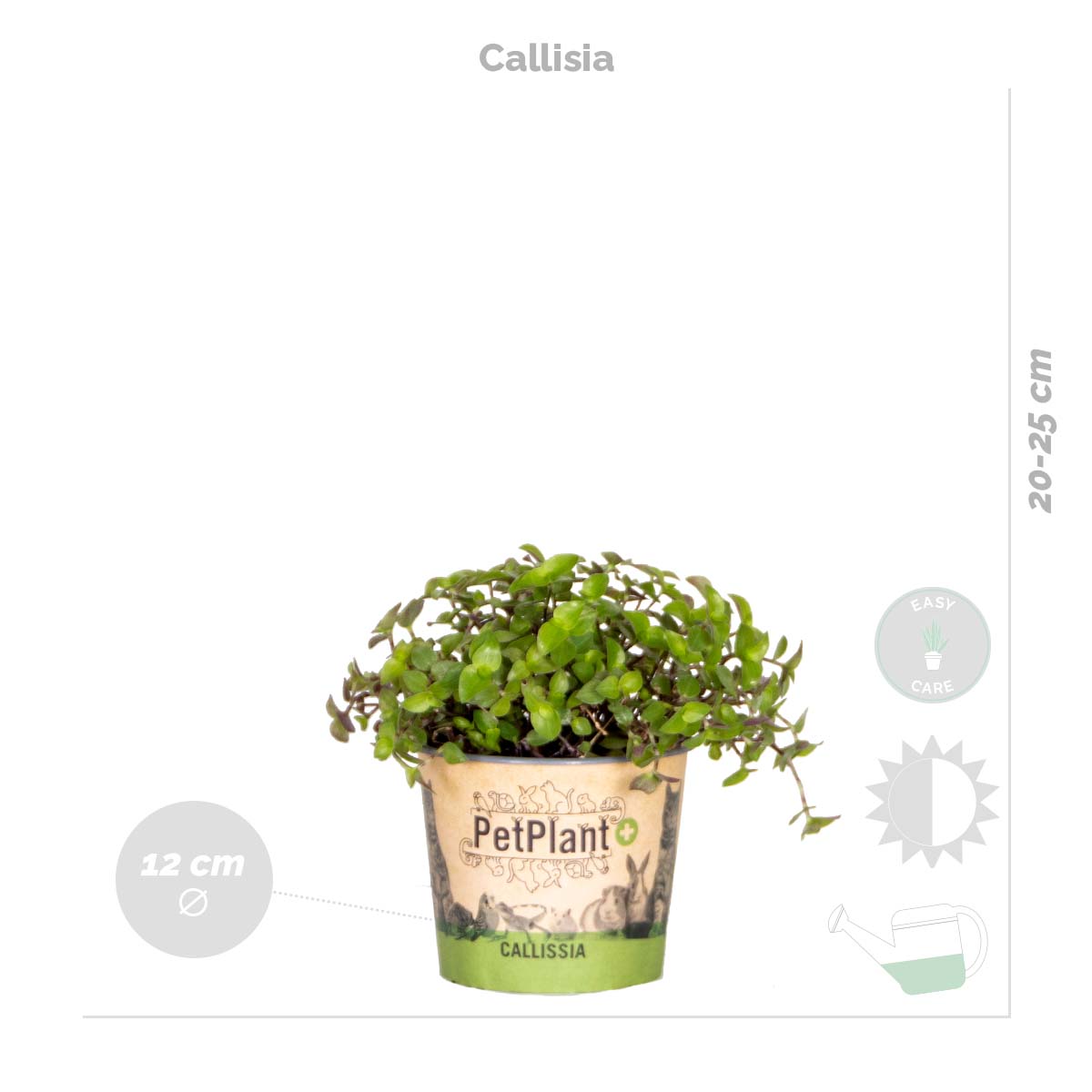 Lot de 4 - Mélange sans danger pour les animaux - H. 20-40 cm - P. 12 cm - 4