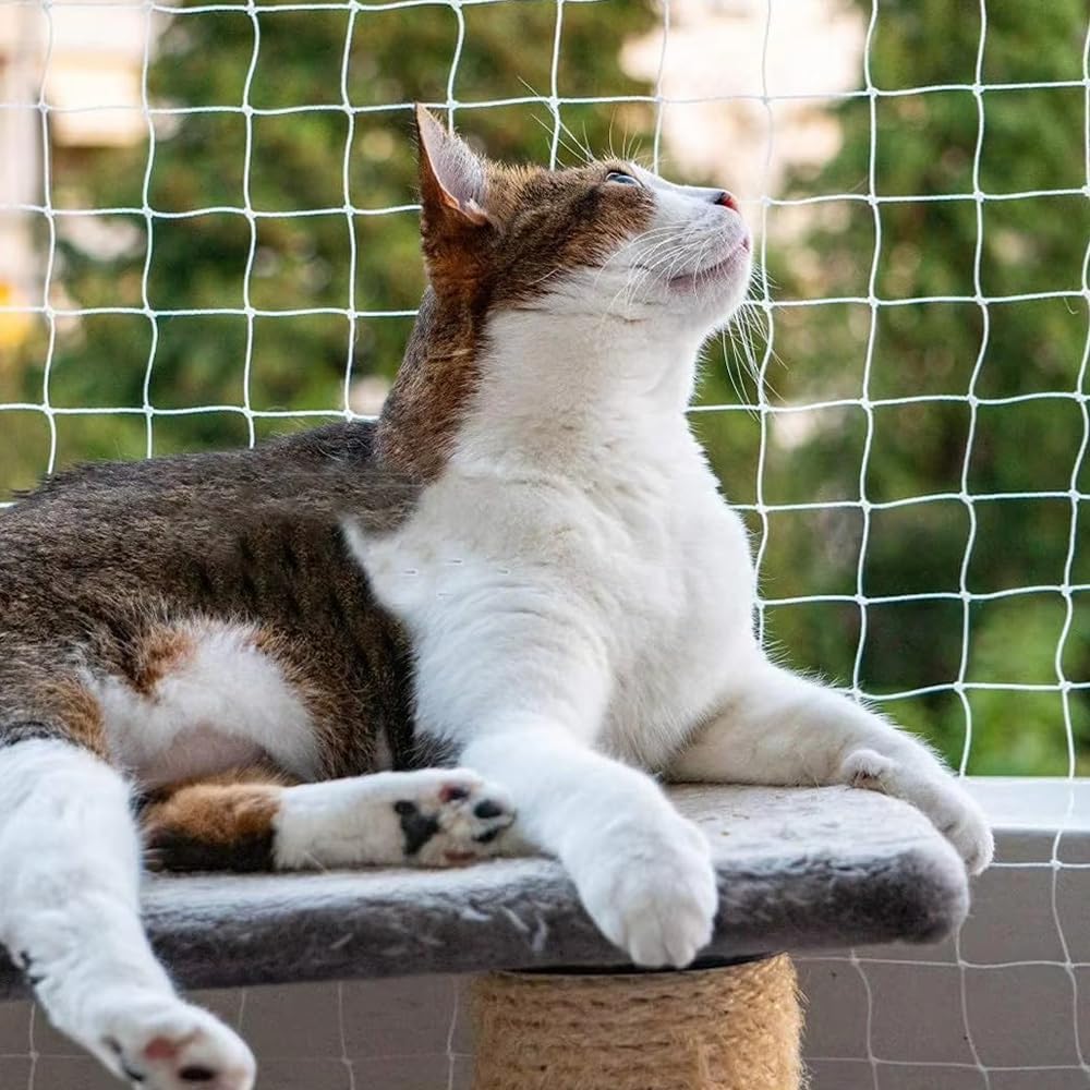 Filet de protection pour chat en nylon, filet transparent pour chat de balcon 3x4m, filet de protection pour chat de balcon découpable - 5