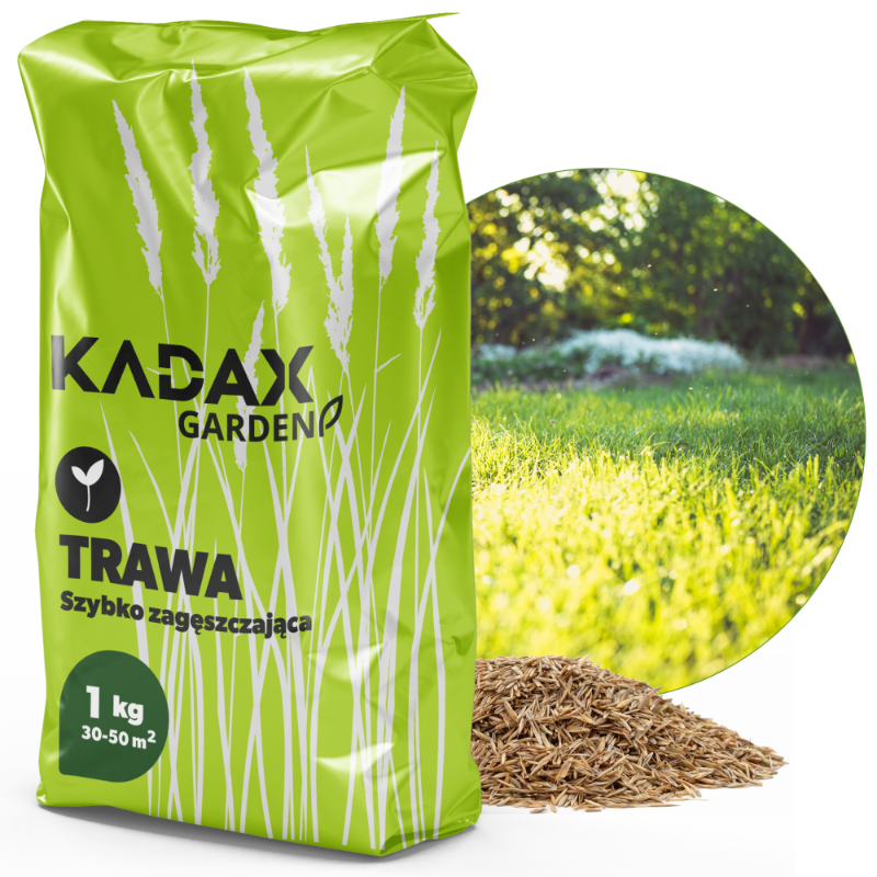 TRAWA NASIONA UNIWERSALNA SZYBKO ZAGĘSZCZAJĄCA TRAWNIK ODPORNA 1KG 40m2