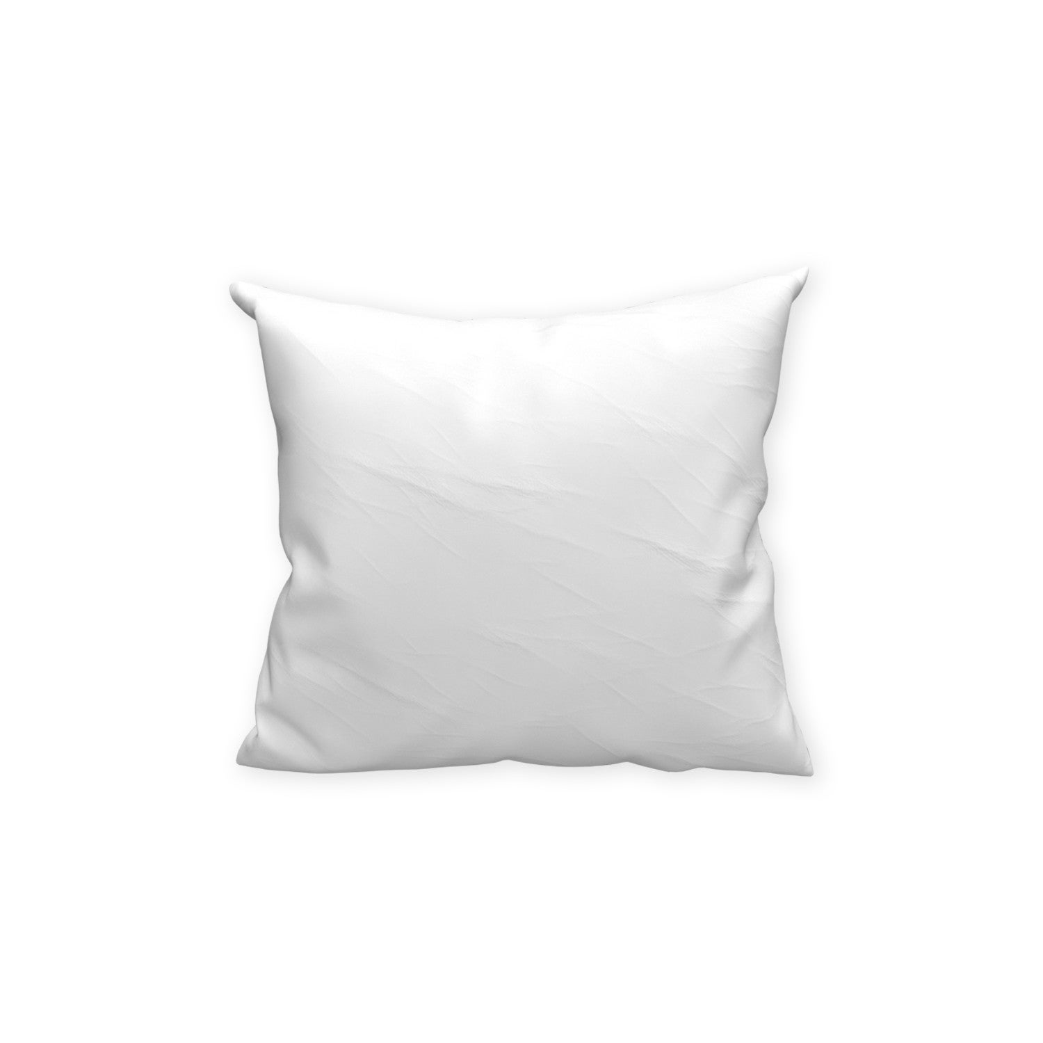 Taie protège oreiller EPONGE imperméable 60x60 cm - 3