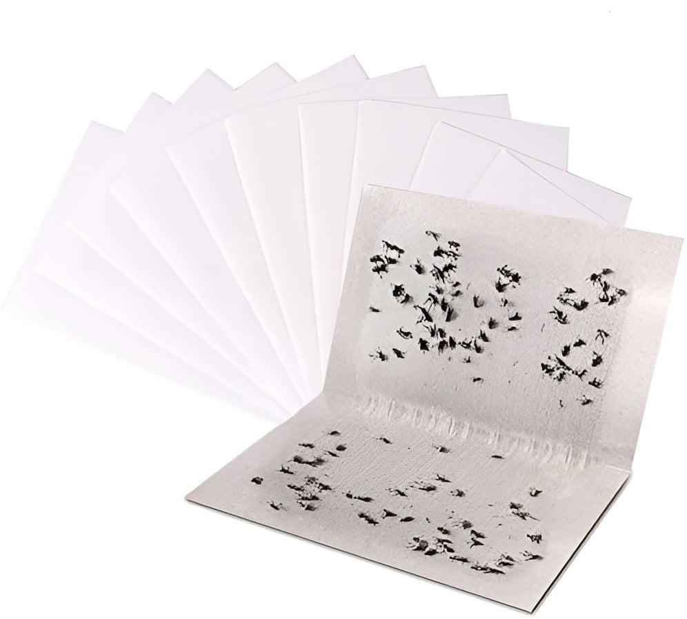 Kit de 12 pièges anti-moustiques BG-GAT 2 60 cartes adhésives