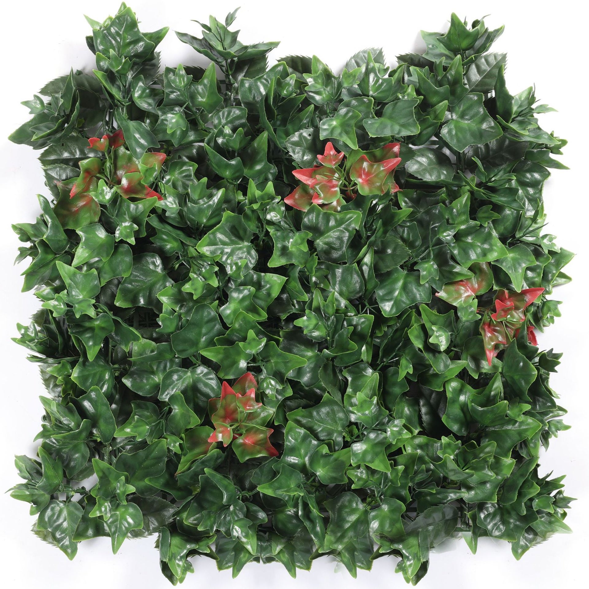 Sztuczny żywopłot 50 cm x 50 cm, ochrona i prywatność w ogrodzie, ściana ze sztucznej trawy, ochrona przed promieniowaniem UV (1 szt.)