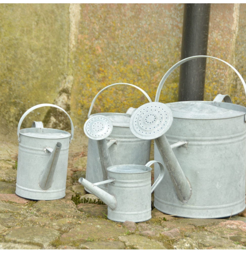 Arrosoir extérieur - L 10,6 x l 22,8 x H 12,4 cm - Zinc - 2