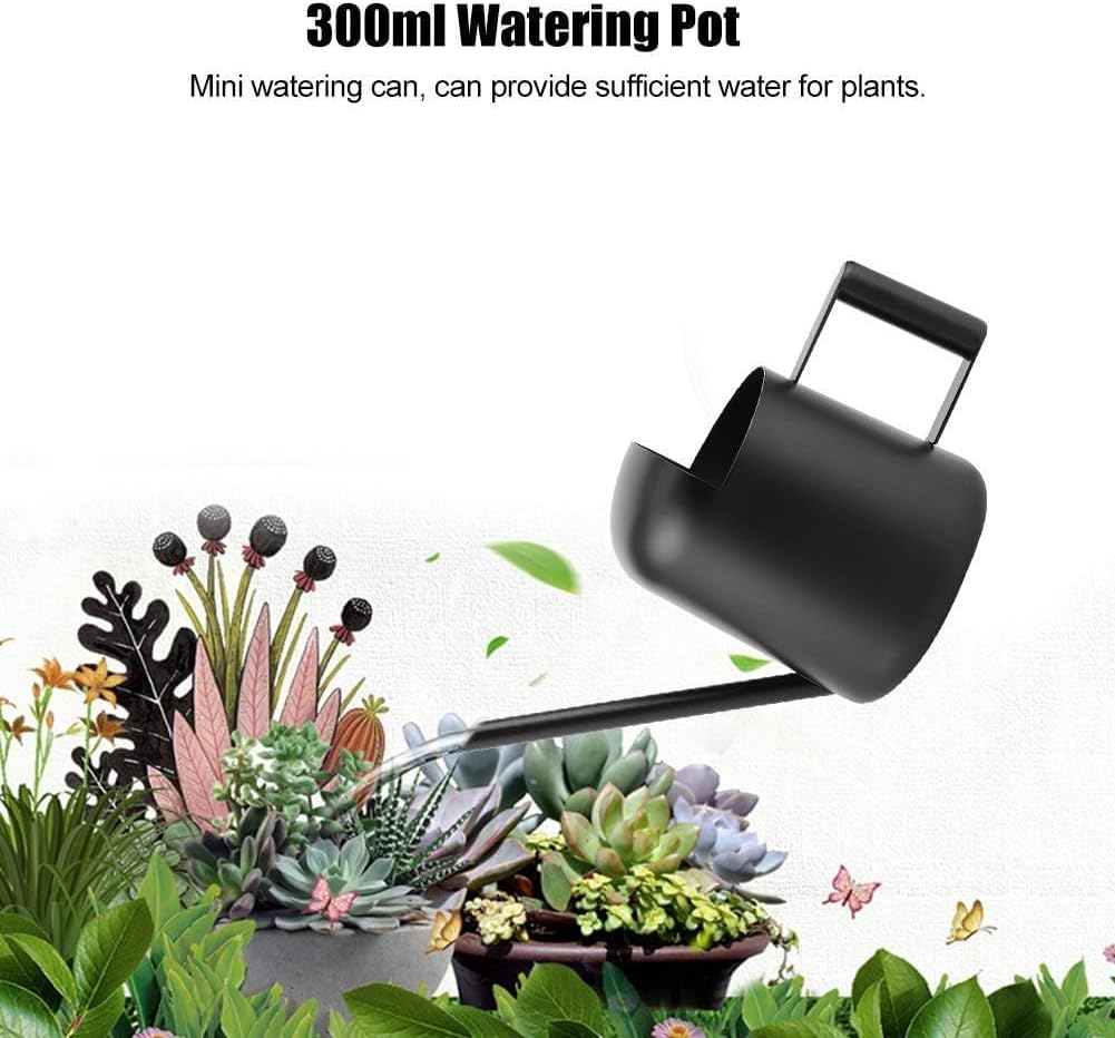 Arrosoir 300ml, Petit arrosoir d'intérieur de 300ml, Arrosoir Plante Interieur, mini arrosoir de jardin en acier inoxydable avec long bec - 2