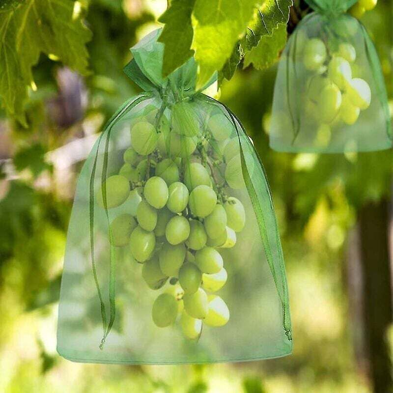 100 Saci de protecție pentru struguri/fructe 15x20cm cu șnur, anti-păsări/viespi