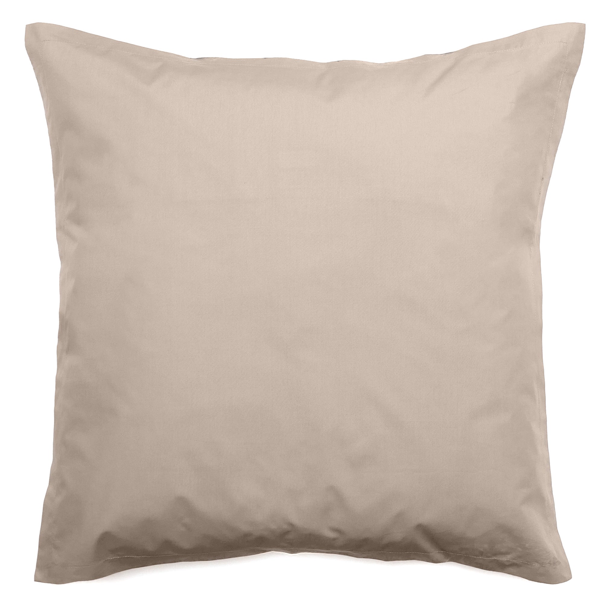 65 x 65