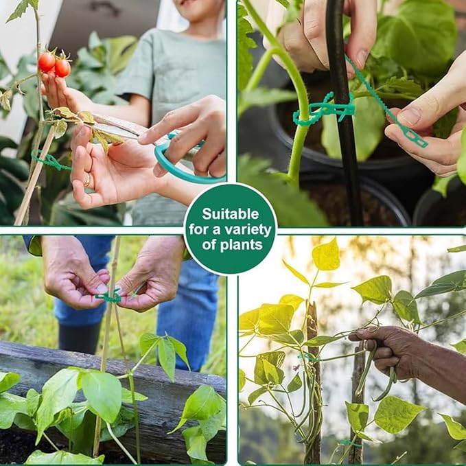 100 pces uteurs pour 17cm plantes attache plante Plante Clips,plastique, pinces Soutient les tomates, les poivrons - 5