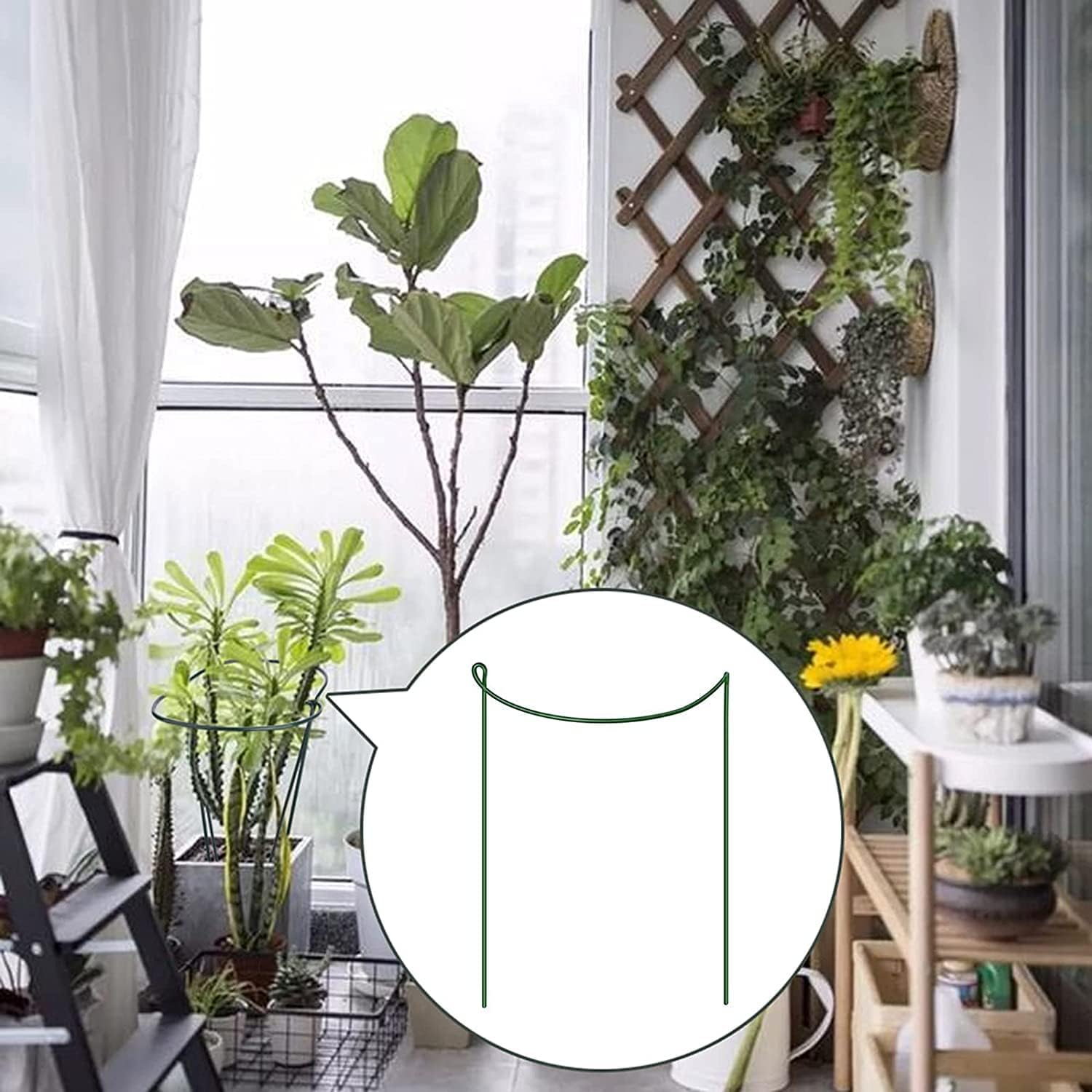 (20 x 35 cm)10 Piquets de Soutien pour Plantes de Jardin, Support de Plantes de Jardin Demi-Rond pour Tomate, Pivoines, Hortensia, Vigne - 4