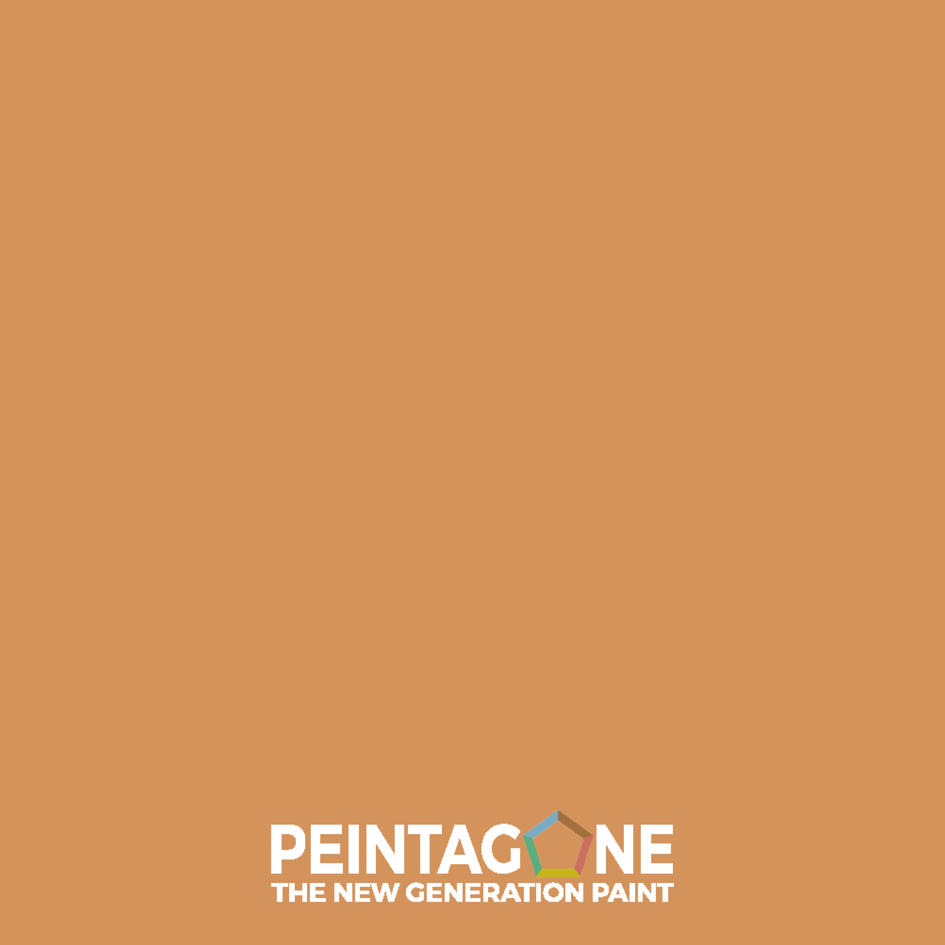 Peinture de finition lavable pour murs & plafonds intérieurs - Decor Matt, 4 l, Mantra (PE035) - PEINTAGONE - 2