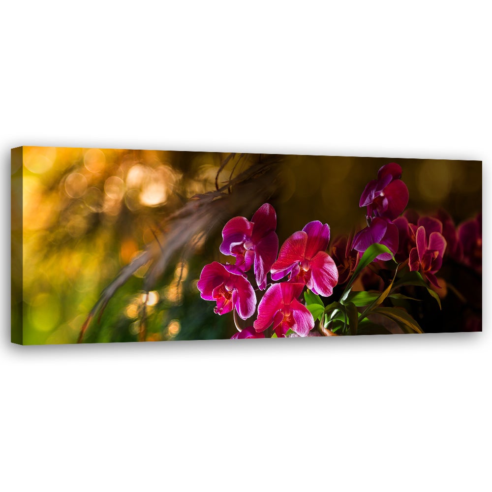 Obraz na płótnie, Kwiaty Orchidea Zen 150x50
