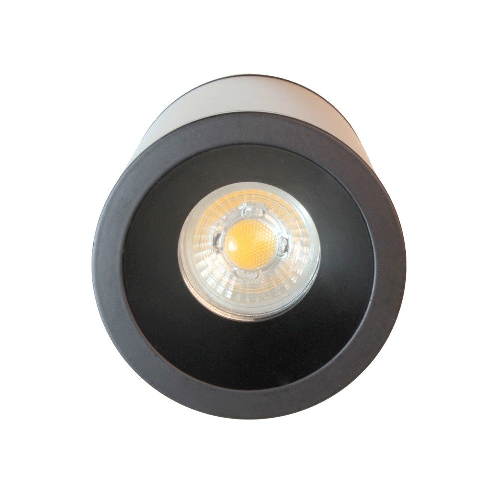 Forlight Tidian Faretto LED Da Esterno 1 Luce, Nero, IP65, Orientabile 90°, Con Picchetto Per Terreno