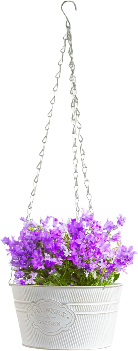 Doniczka wisząca z kutego żelaza o średnicy 22 cm, odpowiednia do ogrodu balkonowego – rustykalna, dekoracyjna