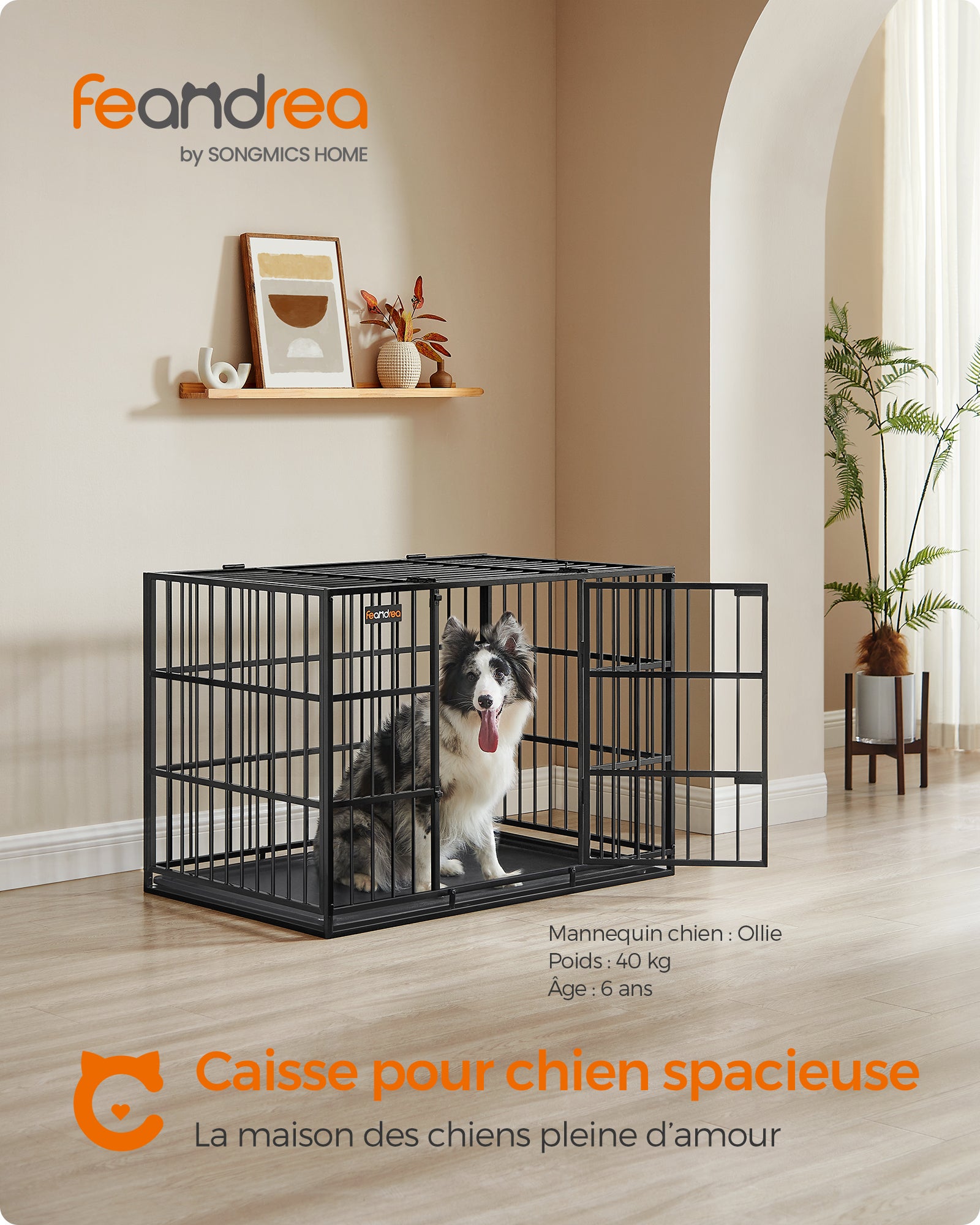 Cage pour Chien Ultra-résistante, 107 x 70 x 75 cm, pour Chiens Moyens et Grands, Noir - 2