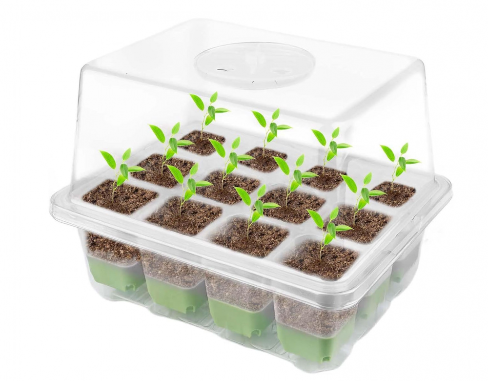 Wielokrotnego użytku szklarnia wewnętrzna z 12 otworami na rośliny i podwyższoną pokrywą - tacka na sadzonki - miniaturowa szklarnia na rośliny