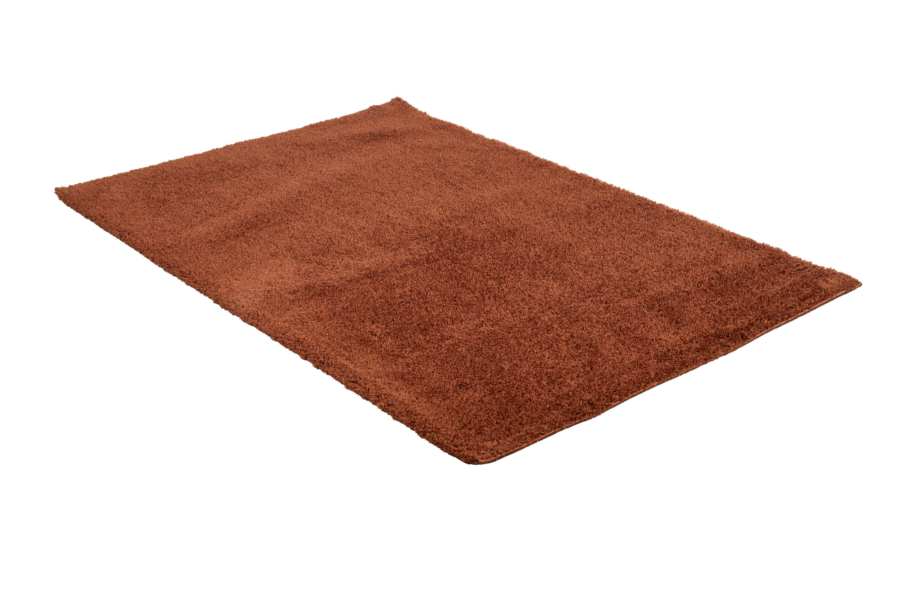 Dywan z poliestru Blizz terra 120x170cm - 2