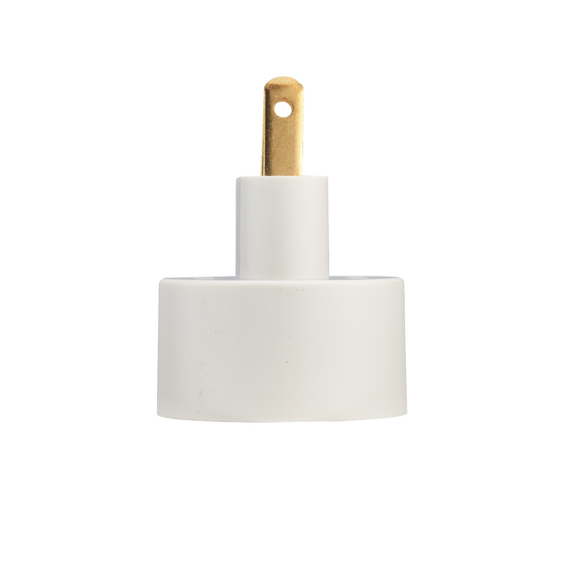 ADAPTATEUR ENTREE FRANCE 2P 10/16A SORTIE USA BLANC